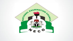 When will NECO result 2024 be out? Here is all you need to know about NECO result release date and how to check NECO result online via the checking portal using your mobile phone.