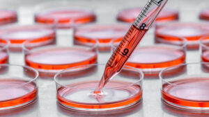 UNN Biochemistry admission requirements for the 2024/2025 Academic session - Here is all you need to know about University Of Nigeria degree in Biochemistry for UTME and Direct Entry (DE).