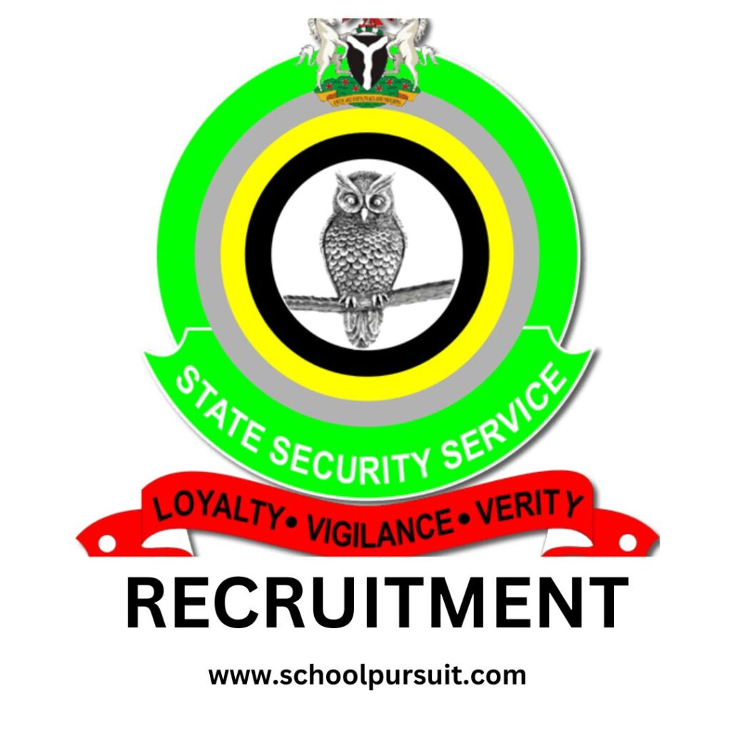 What are the requirements for the DSS Recruitment 2025/2026, DSS Recruitment Portal 2025