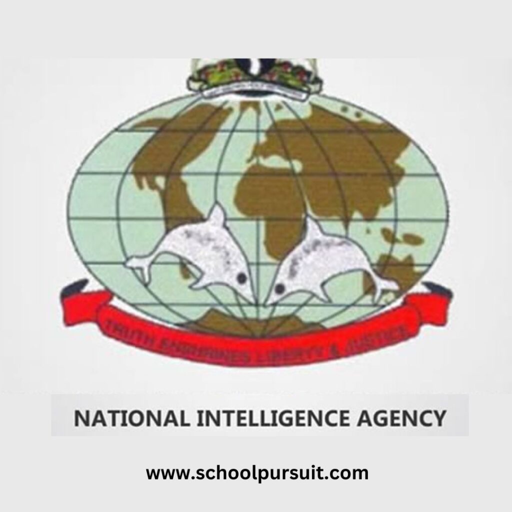 NIA Recruitment Portal 2025/2026 | Guidelines and Requirements, NIA Recruitment Portal 2025/2026 | Guidelines and Requirements