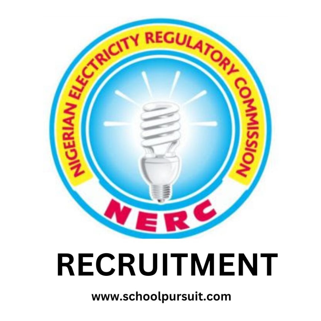 What are the available positions for NERC Recruitment, NERC Recruitment Portal 2025/2026 | Application Instructions