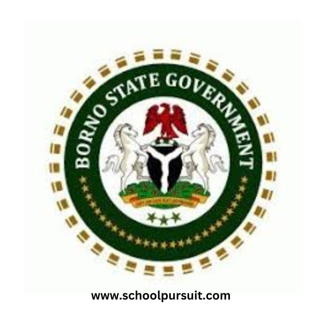 General Requirements for Borno State Teachers Recruitment, Borno State Teachers Recruitment Portal