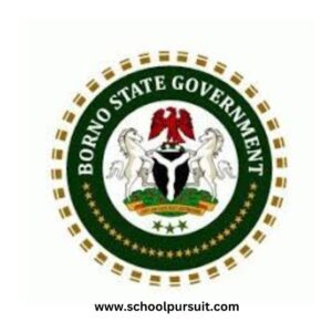 General Requirements for Borno State Teachers Recruitment, Borno State Teachers Recruitment Portal