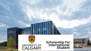 How To Get University of Calgary International Entrance Scholarship in 2025/2026