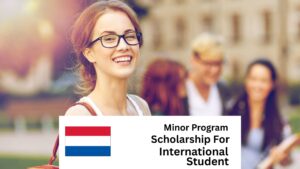 List of Minor Program Scholarships in Netherlands for International Students 2025/2026