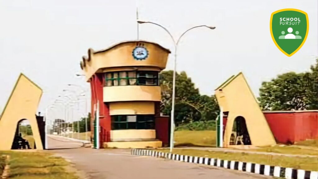 Top Polytechnics in Nigeria With Modern Facilities